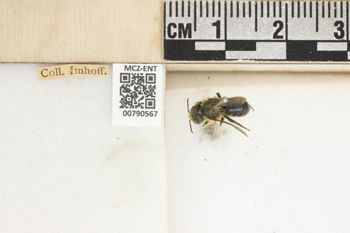 Media type: image;   Entomology 790567 Aspect: Labels